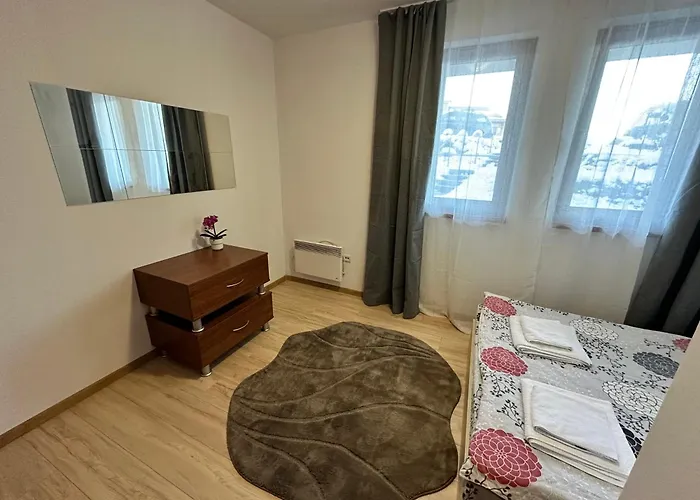 New 公寓 班斯科